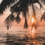ahmed-saeed-3oY6iqvc2sg-unsplash